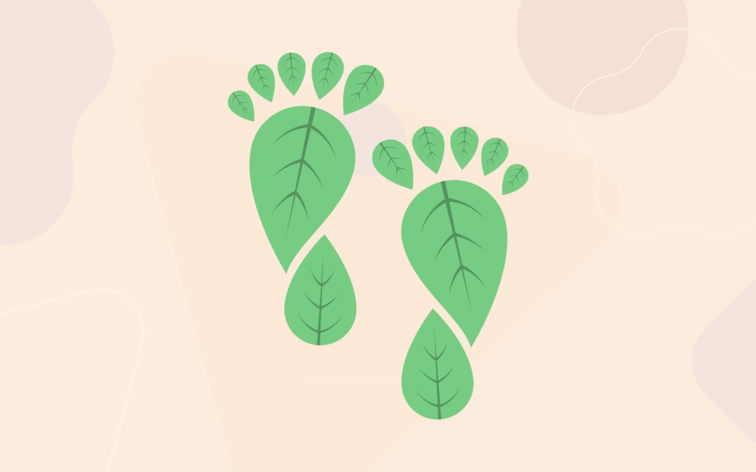 The Environmental Footprint